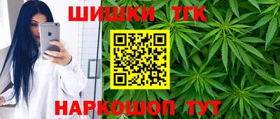 МДПВ Камышлов