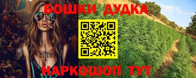 PSILOCYBIN Кандалакша