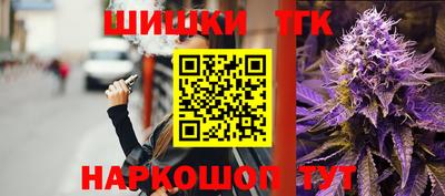 МДПВ Камышлов