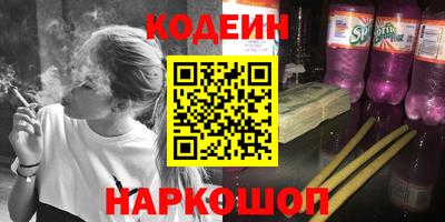 МДПВ Камышлов
