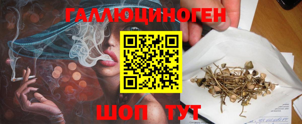 Долгопрудный  Псилоцибиновые грибы Magic Shrooms  Вход с VPN  Галлюциногенные грибы Magic Shrooms 